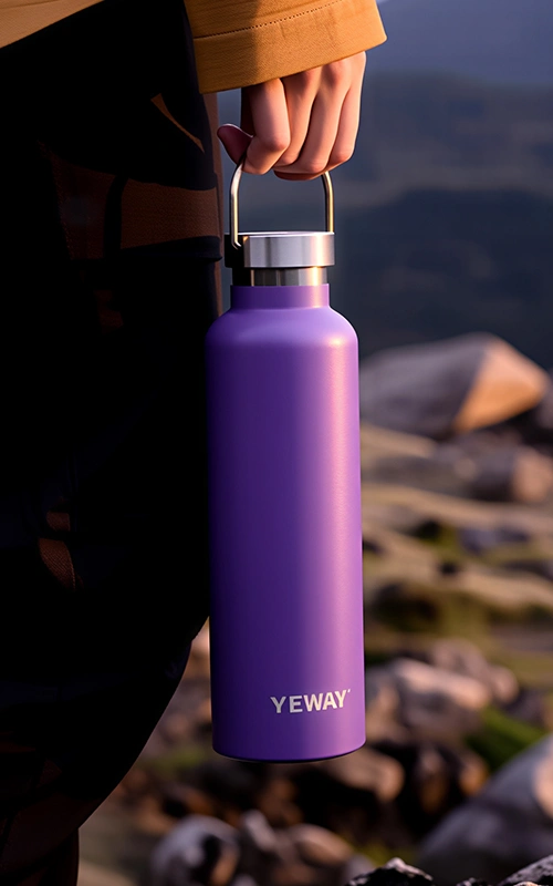 stainless steel water bottle with carry loop